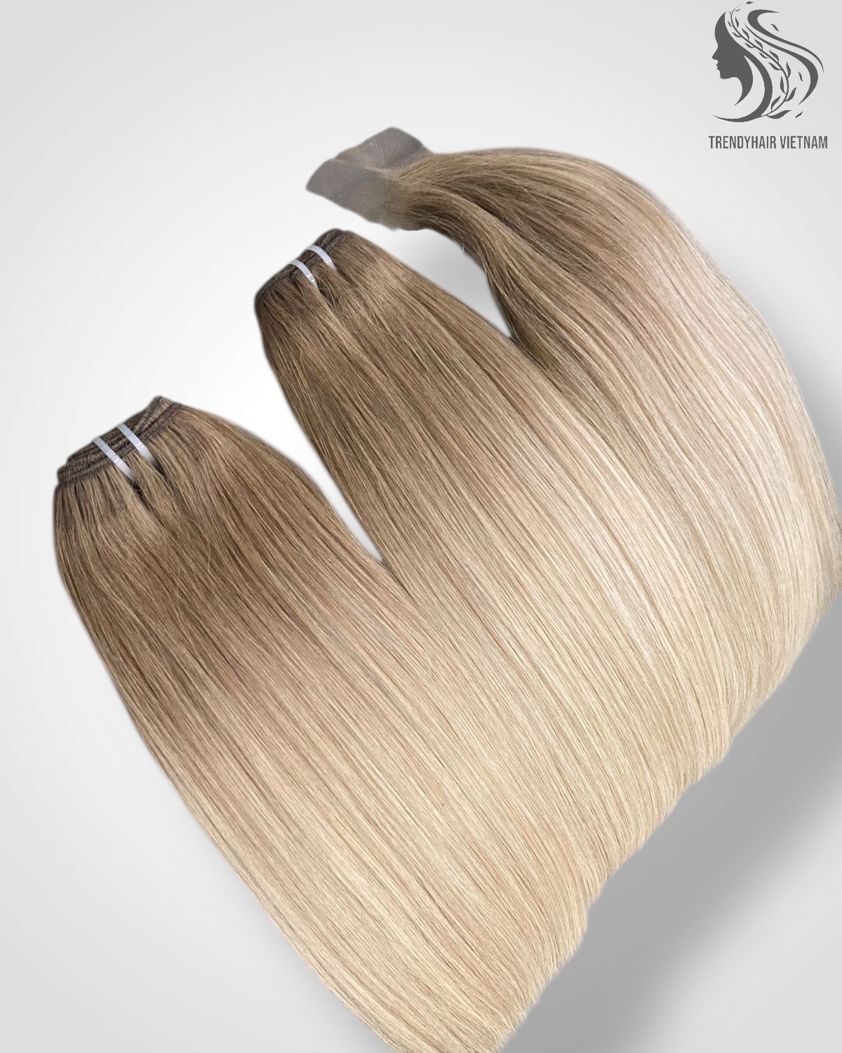 Premium Vietnamese Hair Extensions – The Gold Standard in Human Hair