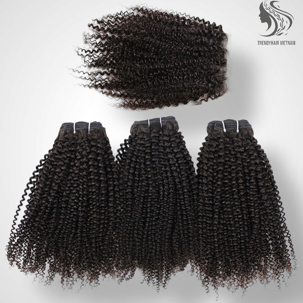 Premium Vietnamese Hair Extensions – The Gold Standard in Human Hair