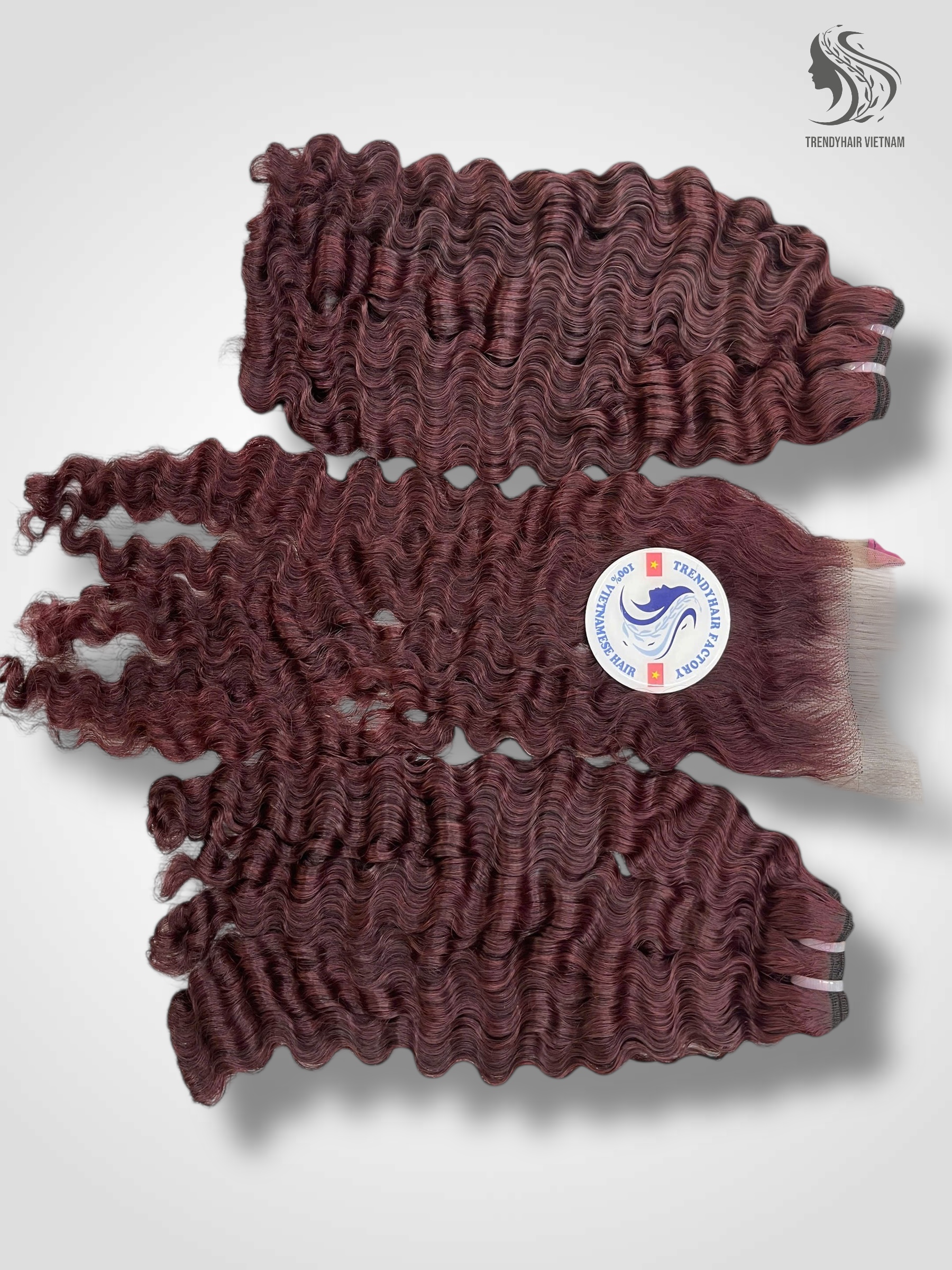 Combo 2 Bundles And 1 Closure 5x5 Vietnames Human Hair