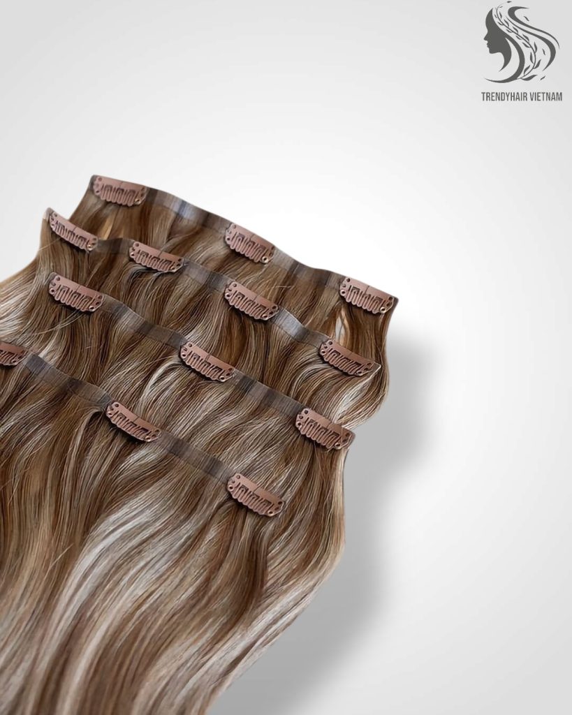 Vietnamese Clip-in Hair Extensions Human Hair