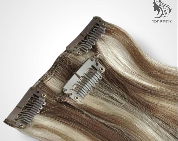Vietnamese Clip-in Hair Extensions Human Hair