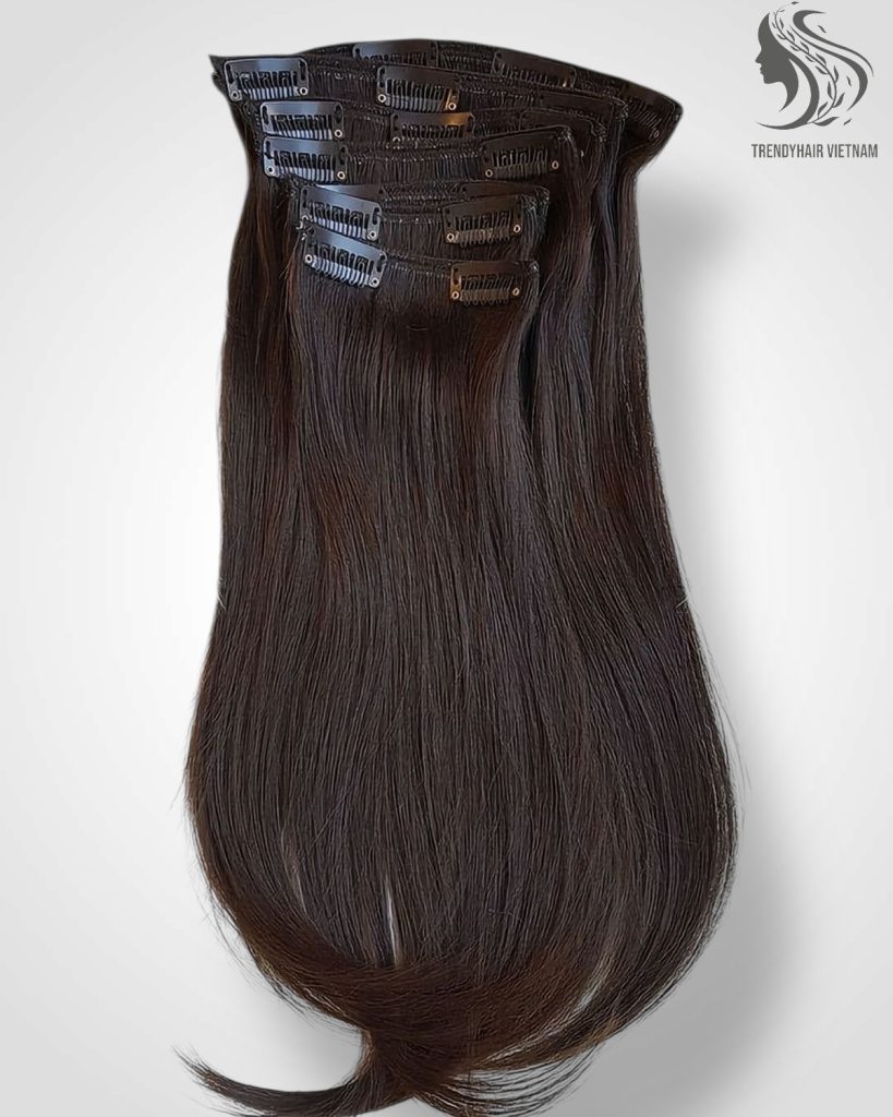 Vietnamese Clip-in Hair Extensions Human Hair