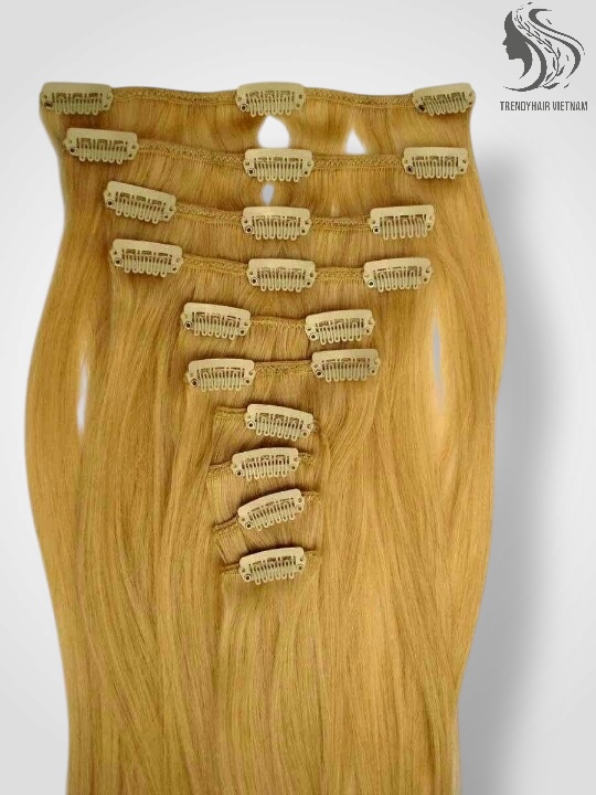 Vietnamese Clip-in Hair Extensions Human Hair