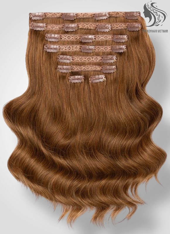 Vietnamese Clip-in Hair Extensions Human Hair