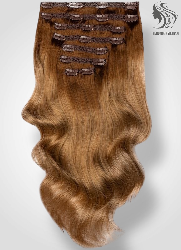 Vietnamese Clip-in Hair Extensions Human Hair
