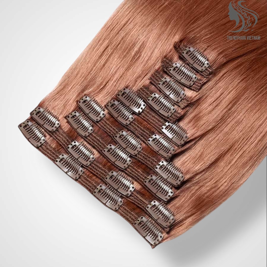 Vietnamese Clip-in Hair Extensions Human Hair