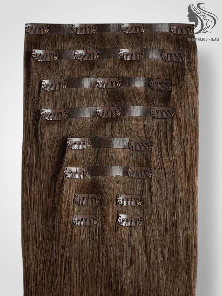 Vietnamese Clip-in Hair Extensions Human Hair