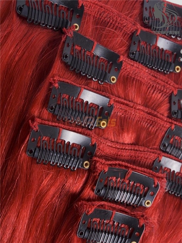 Vietnamese Clip-in Hair Extensions Human Hair