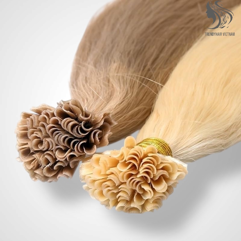 U Tips Hair Extension Vietnamese Human Hair