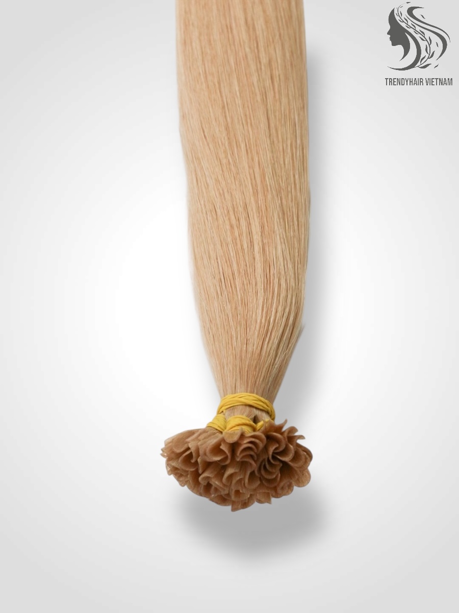 U Tips Hair Extension Vietnamese Human Hair