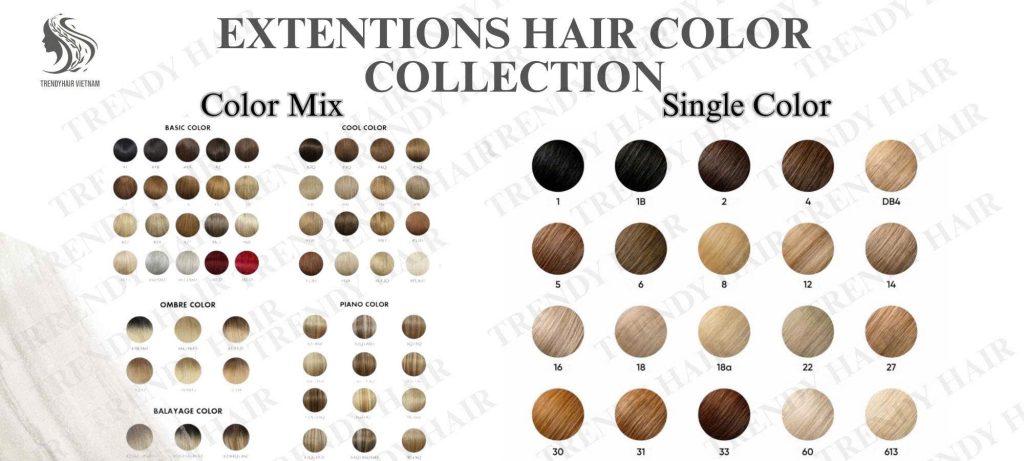 Any Color Any Texture Always Free – The TrendyHair Promise